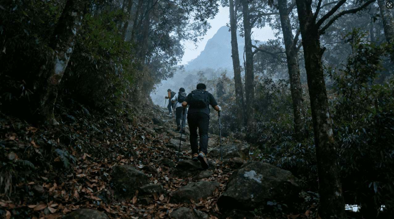 暴喵加速器手机版下载渠道详细指南